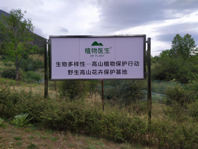 从护肤到护林:国货领军品牌植物医生的生态征程